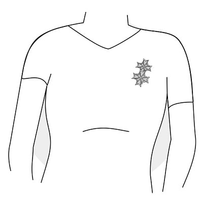 Brooche på brystet (til siden)