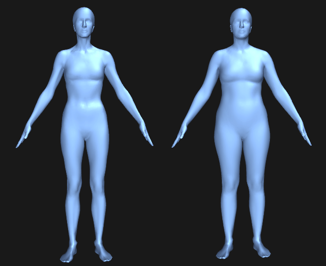 Visualisering af almindelig og plus size model